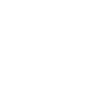 ZM - Company logo