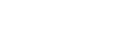 Saleads.pro