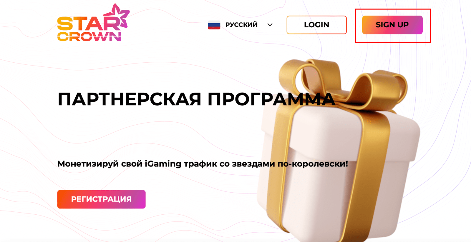 Регистрация StarCrown Partner