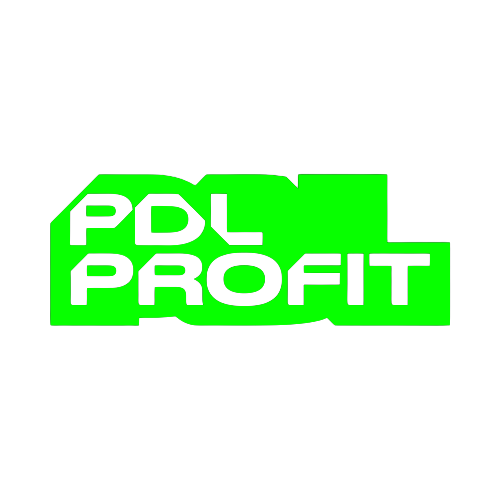 PDL-Profit - Company logo