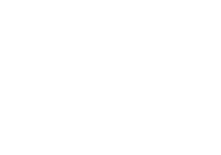 Flex Card