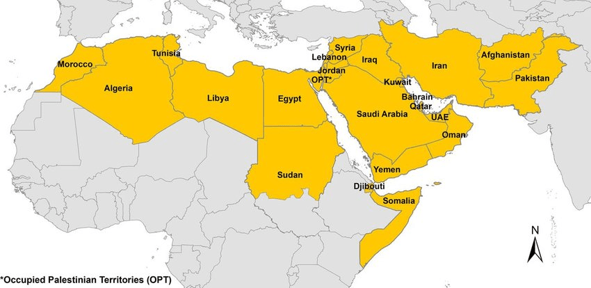 MENA (Африка и Ближний Восток)