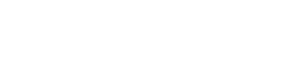 Saleads.pro - Company logo