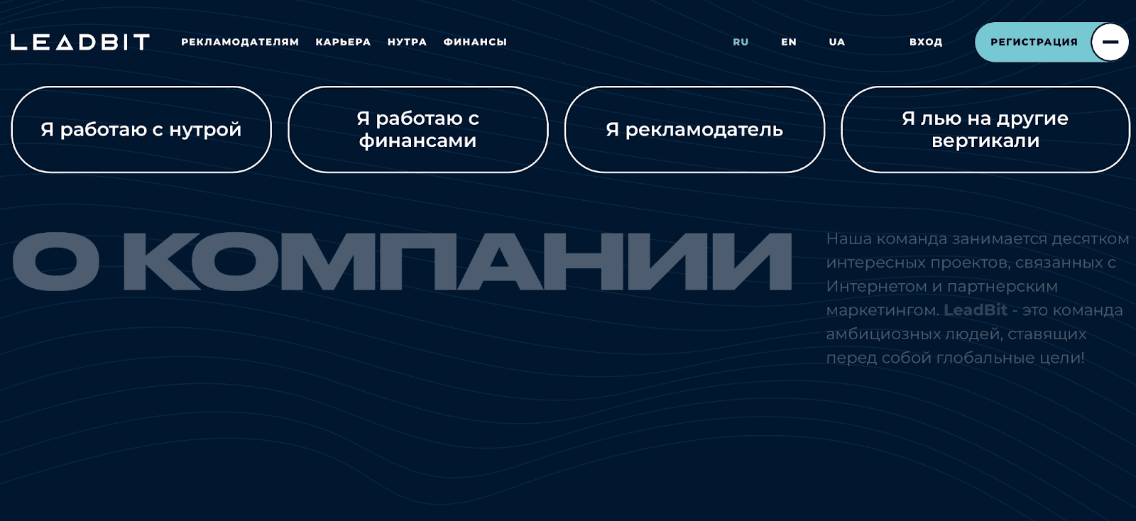 Выбор вертикали Leadbit