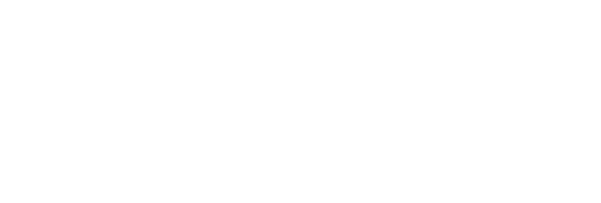 LeadPanda - Company logo